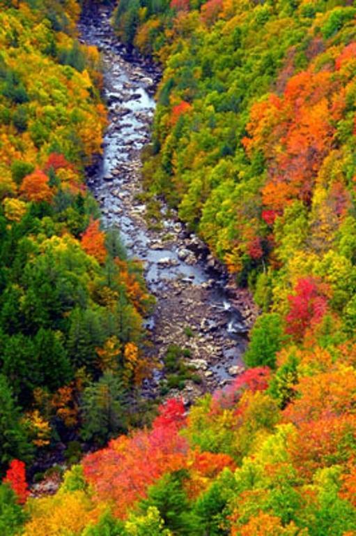 Blackwater Falls State Park Lodge Девіс Екстер'єр фото